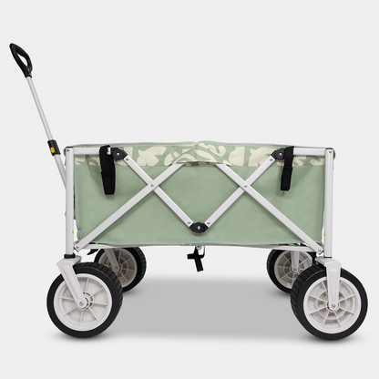 EdenDelmar_Carts_004_GreyBG.webp