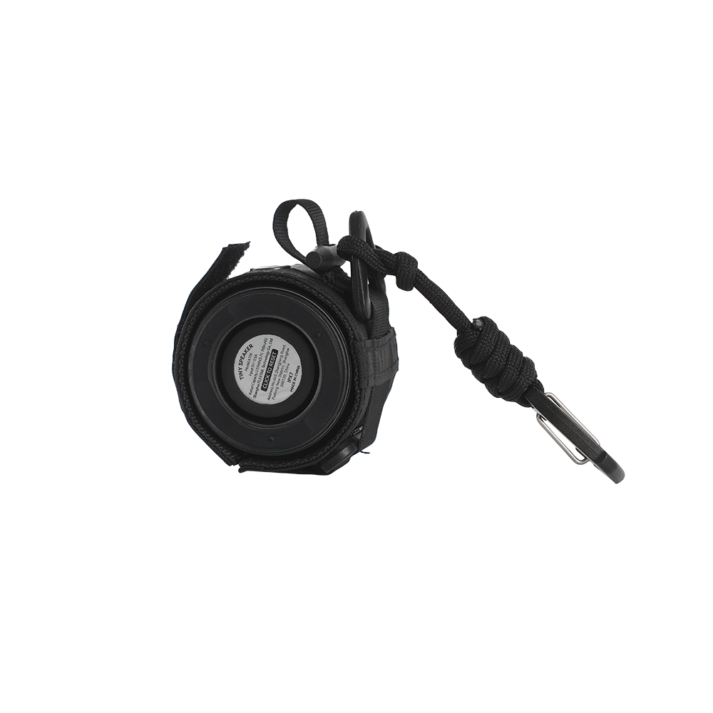 Tiny Speaker